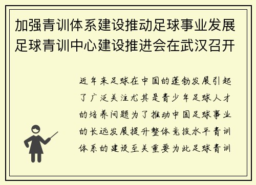 加强青训体系建设推动足球事业发展足球青训中心建设推进会在武汉召开
